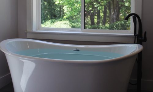 Bothell Primary Bath - tub